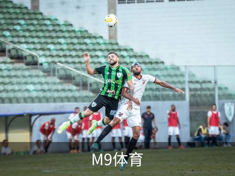 M9体育介绍